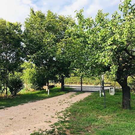 Una Casa Di Campagna Dossobuono Luaran gambar