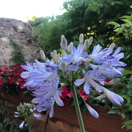 Una Casa Di Campagna Dossobuono Luaran gambar