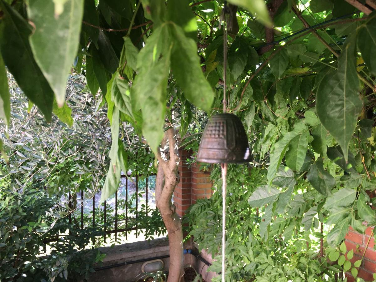 Una Casa Di Campagna Dossobuono Luaran gambar