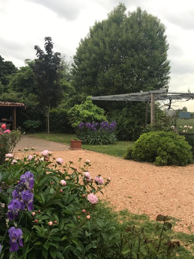 Una Casa Di Campagna Dossobuono Luaran gambar