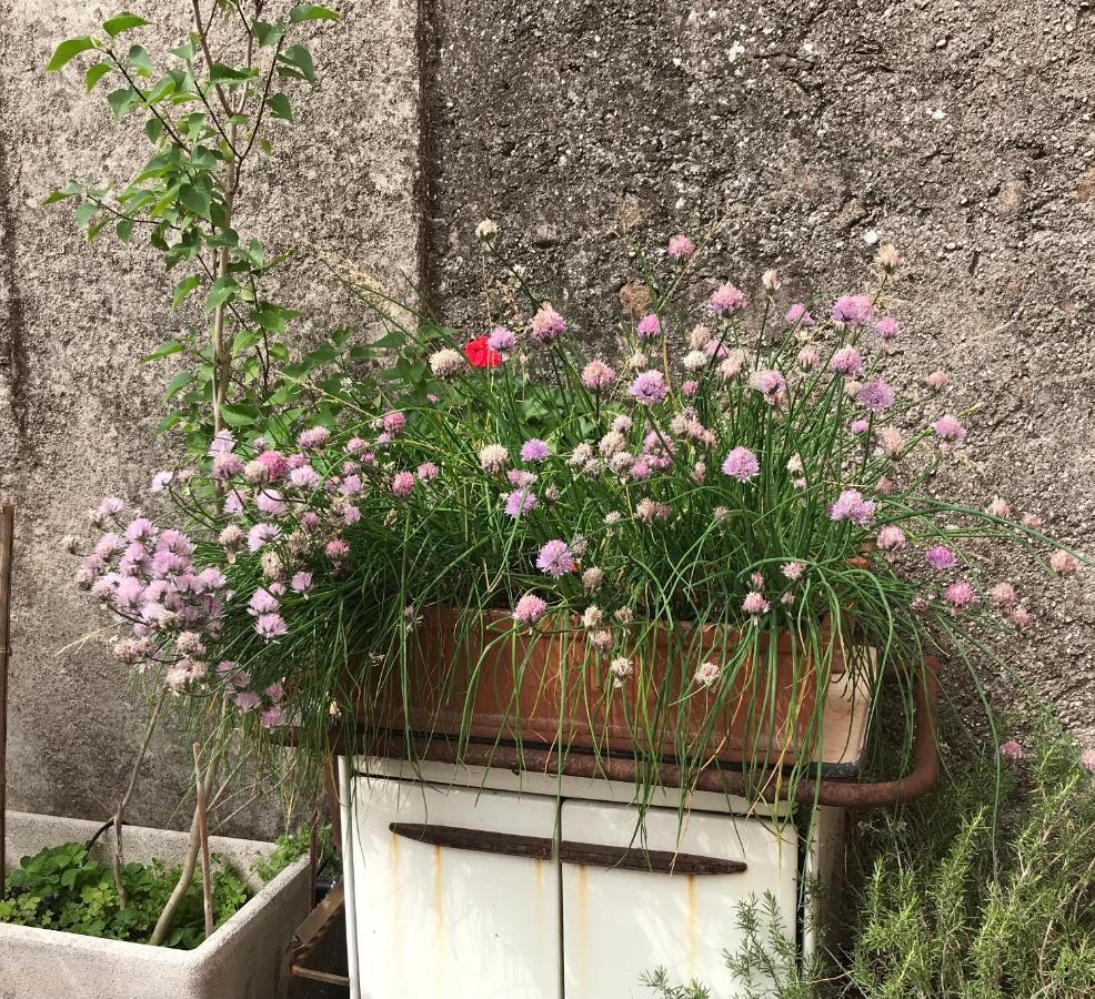 Una Casa Di Campagna Dossobuono Luaran gambar