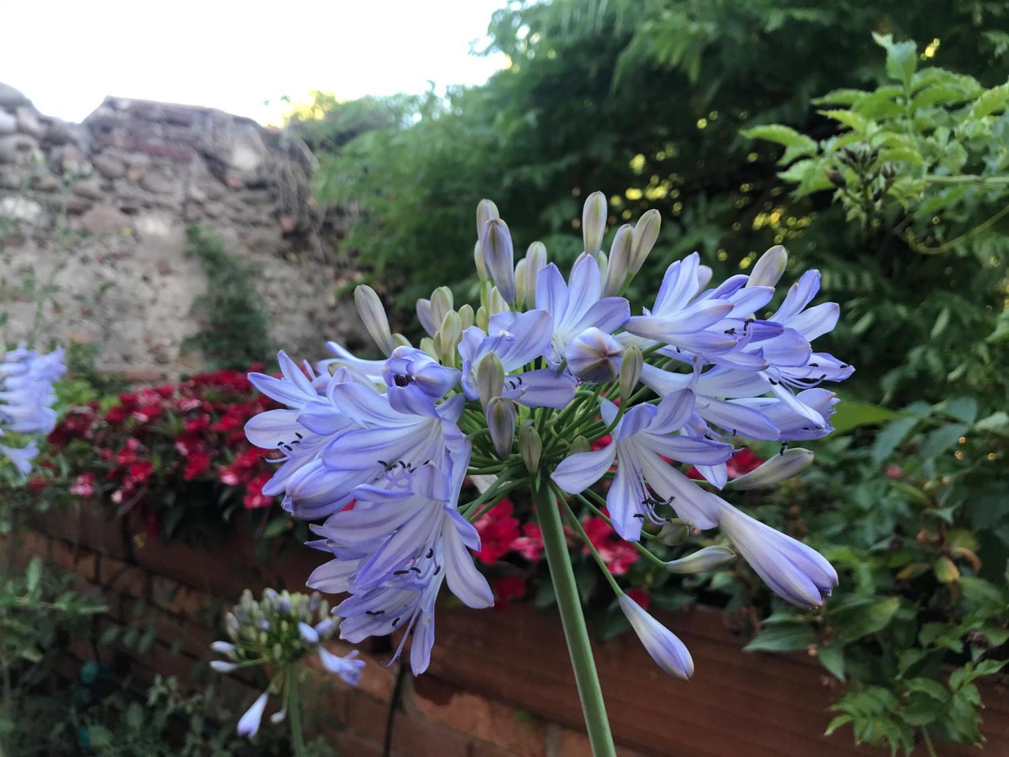 Una Casa Di Campagna Dossobuono Luaran gambar