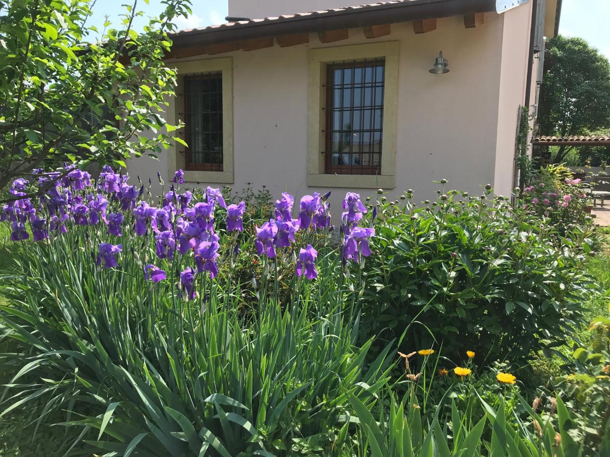 Una Casa Di Campagna Dossobuono Luaran gambar